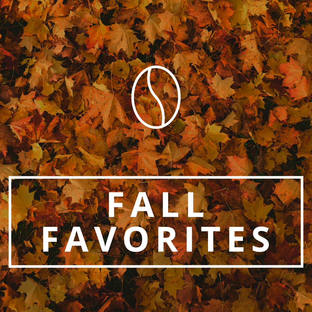 Fall Favorites